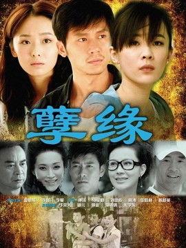 缘电视剧,一段跨越千年的爱恋