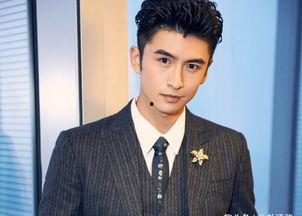 张云龙演过的电视剧,从青春偶像到实力派演员的蜕变之路