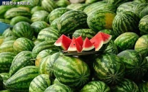 有哪些吃瓜的网站