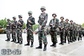 8848电视剧演员表,实力派演员阵容，演绎传奇登山故事